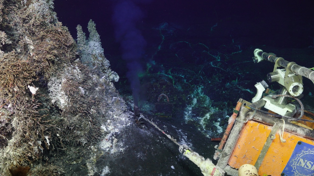 CAMHD and temp probe at Mushroom