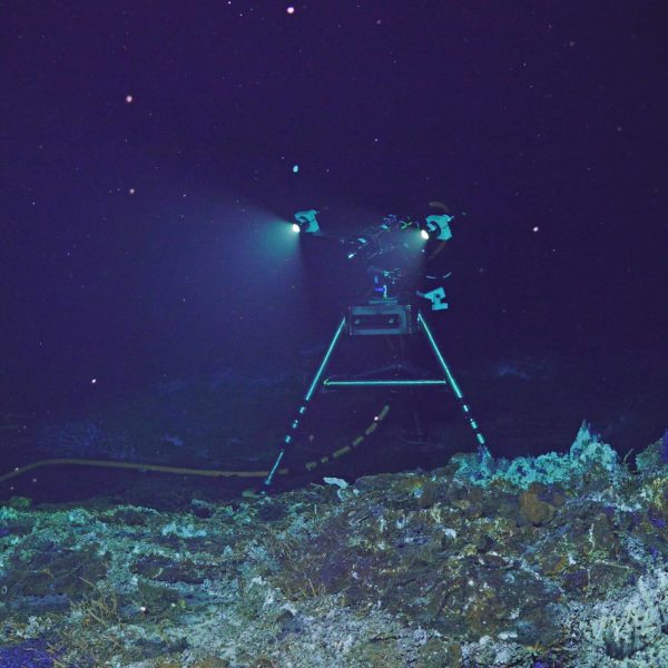 J2-1726_camera.sm on vent capsulis_20250819234521