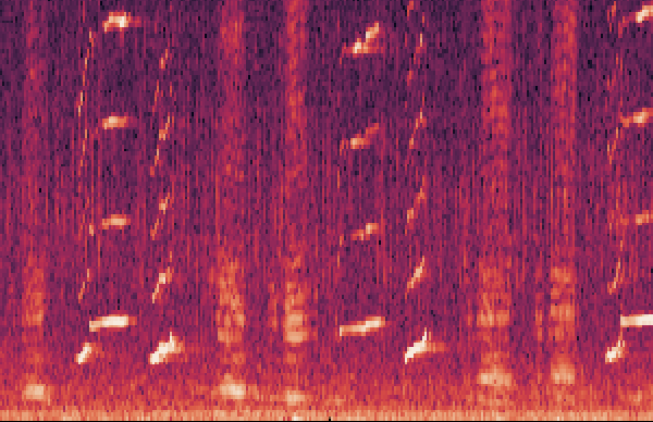 Screenshot 2025-12-22 at 13.34.02