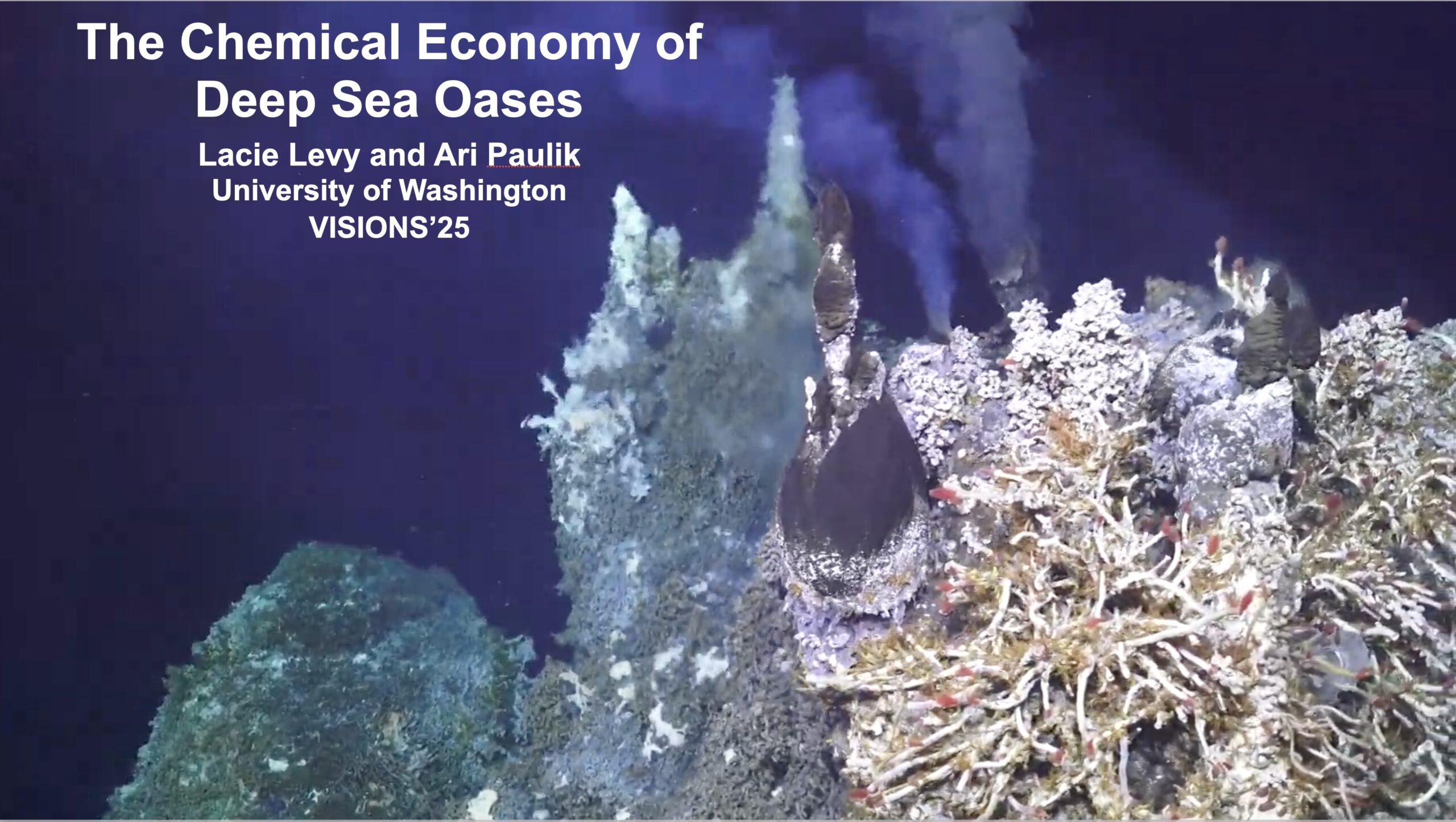 The Chemical Economy of Deep Sea Oases