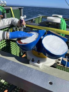 Diaper cream being applied to the sensors of an ADCP. Credit: A. Wolf, University of Washington; V26.