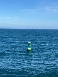 Sea lions on a channel marker. Credit: I. Fatland, Cornell University; V26.