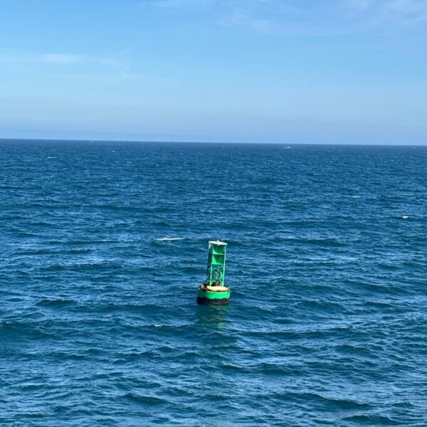 Sealions on a Channel Marker Sealions on a Channel Marker