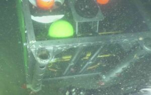 A bright green ball nestled in a silver frame underwater.