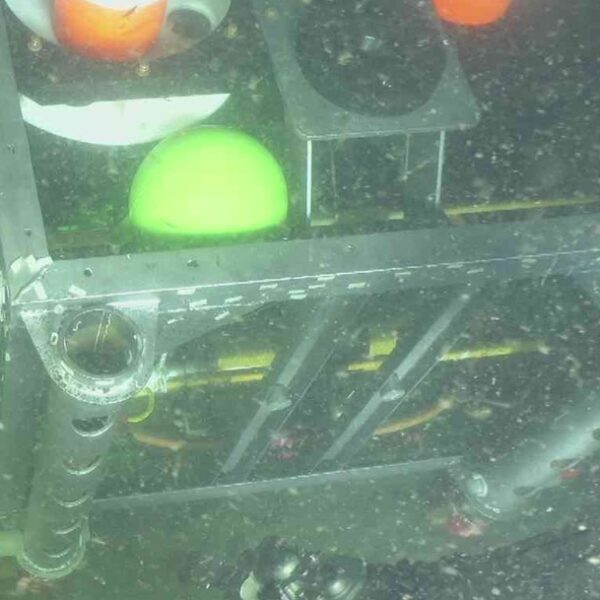 Zooplankton balloon V26 Zooplankton balloon V26