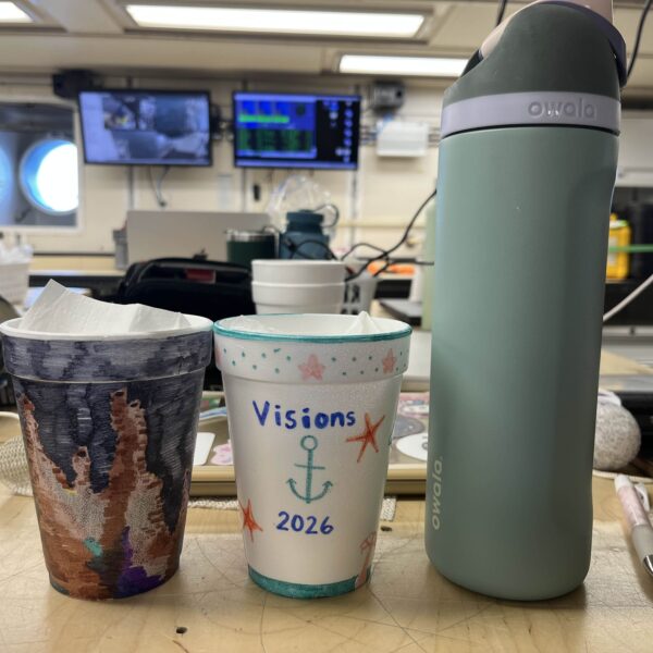 Styrofoam Cups Before Squished Styrofoam Cups Before Squished
