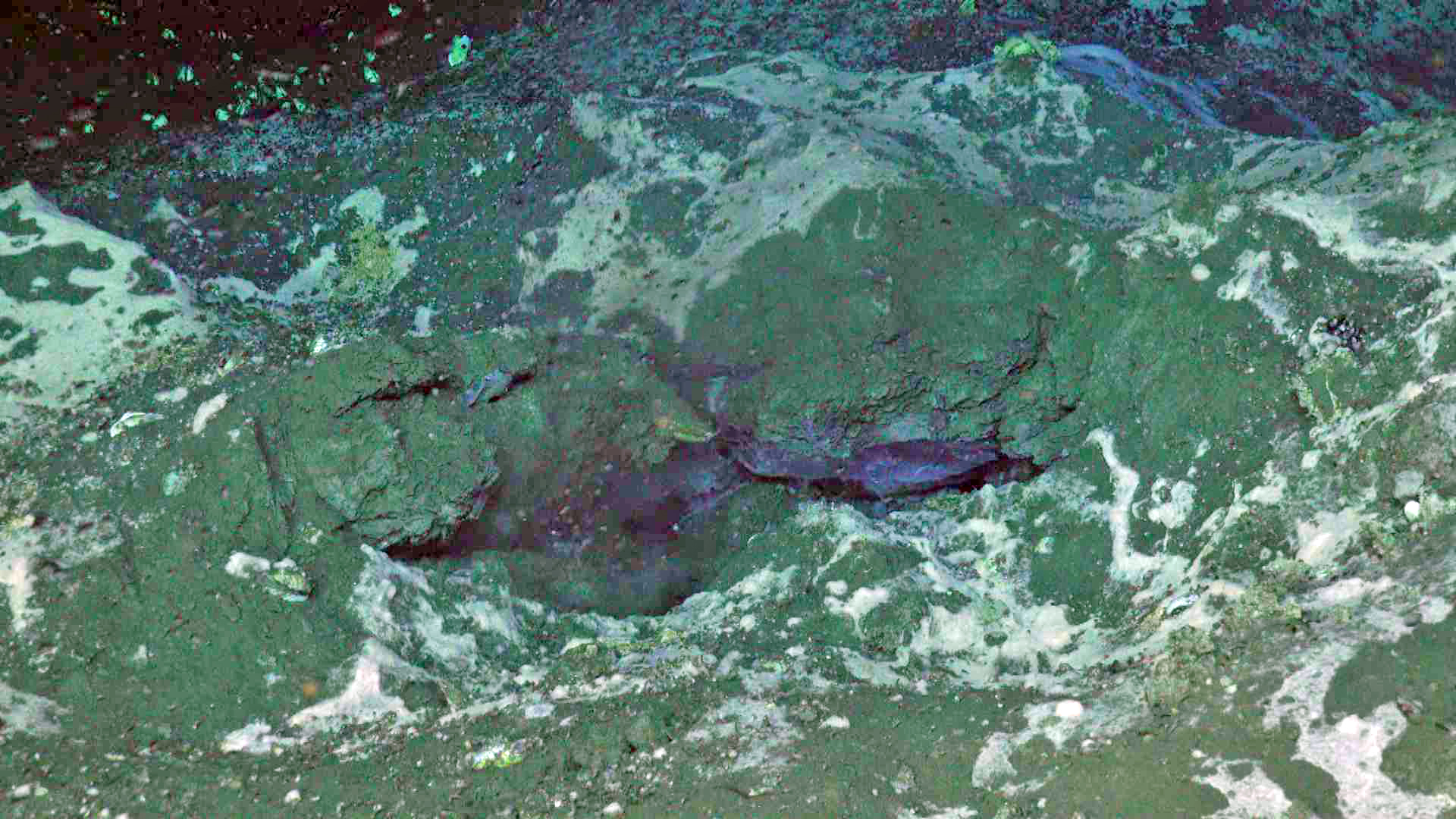 Exposed Methane Hydrate at Einsteins