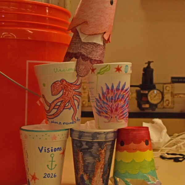 Decorated Styrofoam Cups Decorated Styrofoam Cups