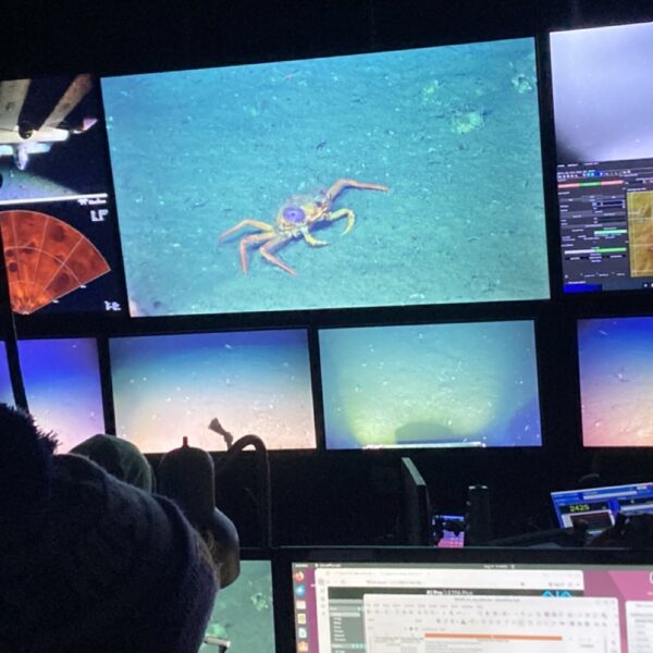 Screen Grab of Crab at Southern Hydrate Ridge Screen Grab of Crab at Southern Hydrate Ridge