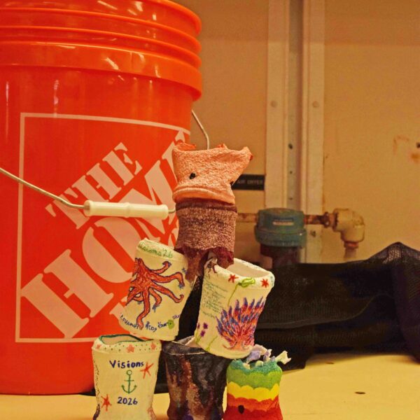 Shrunken Decorated Cups 2900 m Shrunken Decorated Cups 2900 m