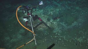 2026 digital still camera pointed at white bacterial mats and a site of bubble emissions at Einstein's Grotto