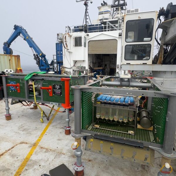 Loaded Revelle Fantail Loaded Revelle Fantail