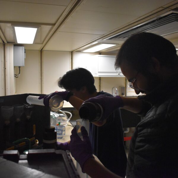 Processing chlorophyll-a Processing chlorophyll-a