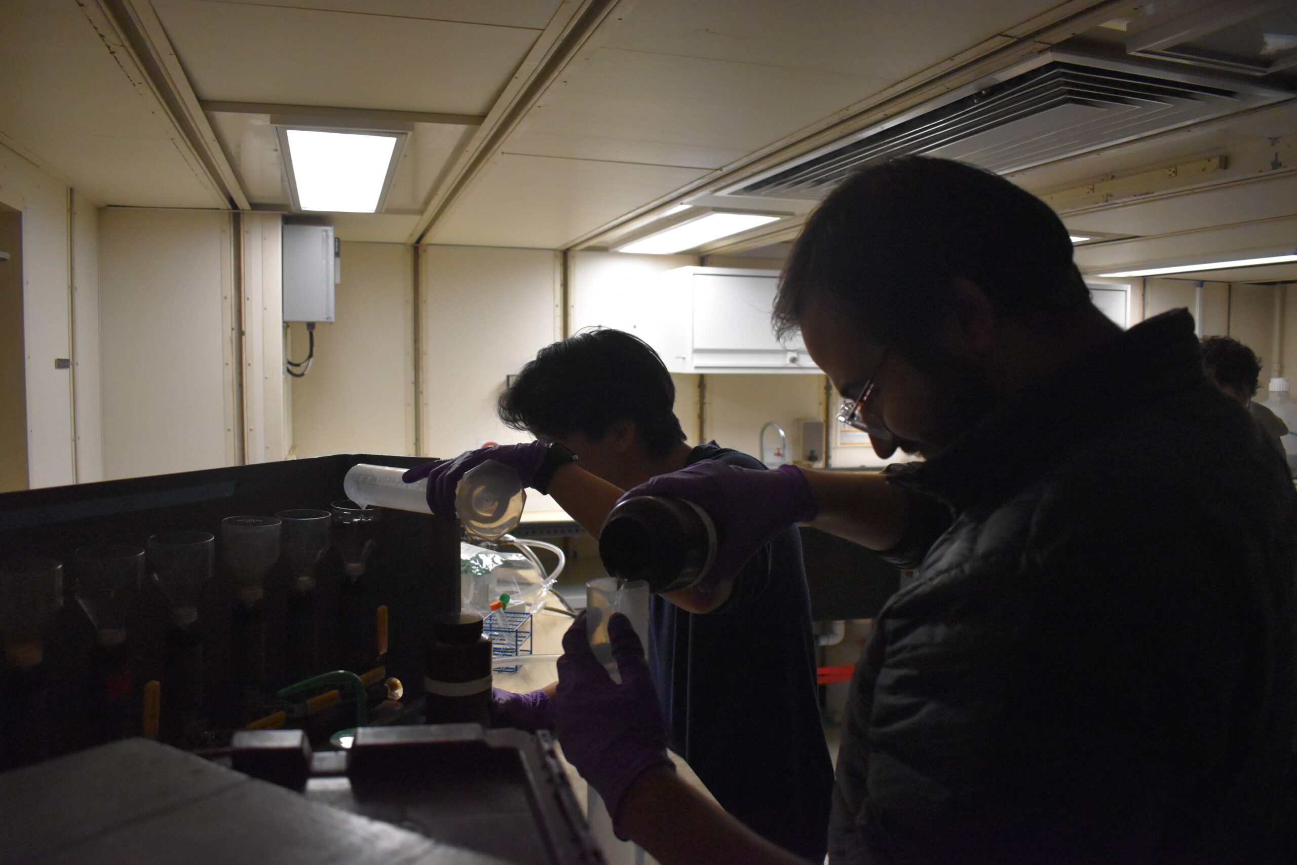 Processing chlorophyll-a