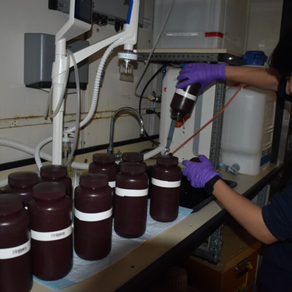 VISIONS student Adrian Processing Samples VISIONS student Adrian Processing Samples
