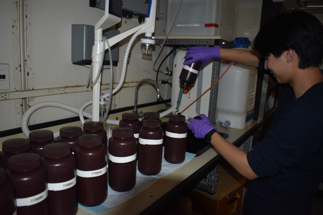 VISIONS student Adrian Processing Samples