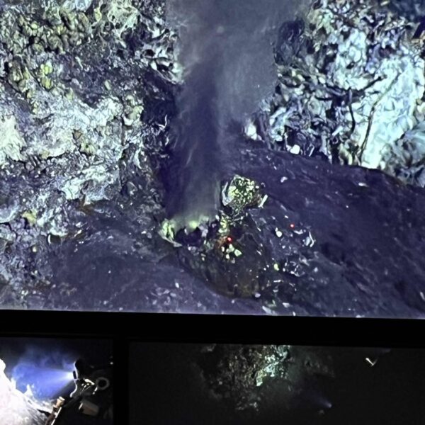 Chalcopyrite-lined Orifice at Mushroom Chalcopyrite-lined Orifice at Mushroom