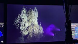 The Mushroom vent in eerie light lit up only by the lights of the HD camera during testing.