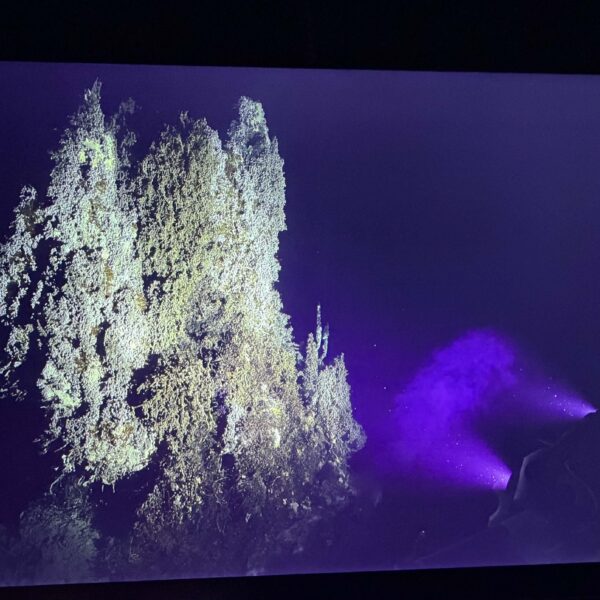 Mushroom vent backlit by lights on the HD camera. Mushroom vent backlit by lights on the HD camera.