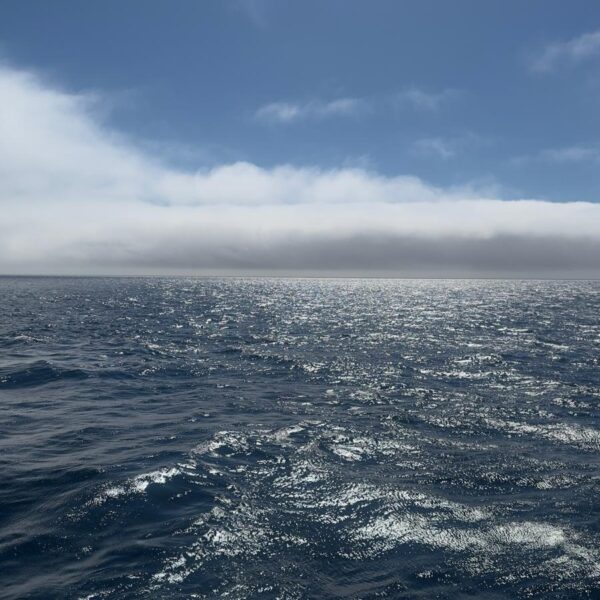 The Deep Blue