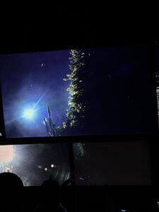 A vent silhouette of Mushroom backlit by the HD camera. Credit: I. Fatland, Cornell University; V26