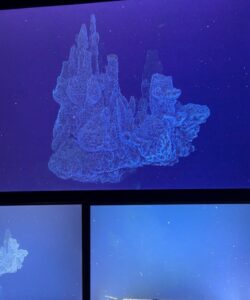 The hydrothermal edifice "Castle" covered in white bacterial mats sprouting multiple spires at its top.