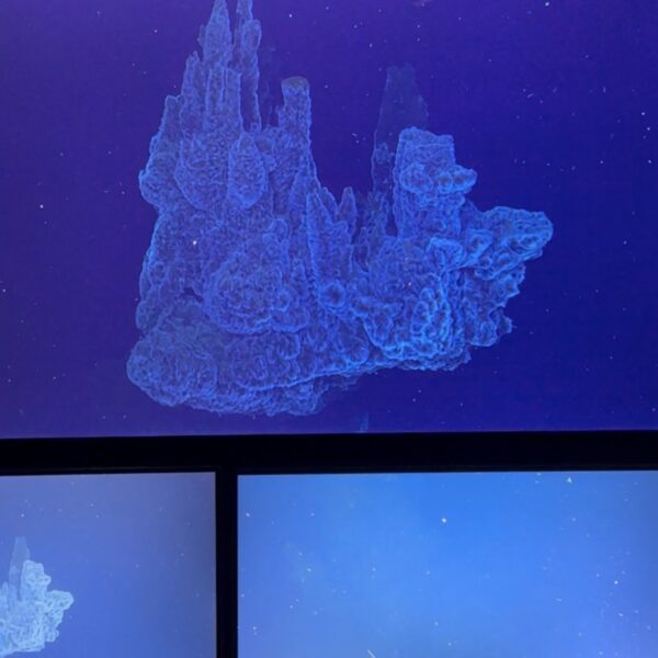 Castle "floating" in Space