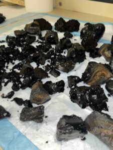 Black glass shards and small rocks recovered from a 2011 lava flow at Axial.