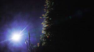 The tubeworm covered side of the Mushroom hydrothermal chimney in eerie backlit light during testing of the cabled high definition camera. Credit: UW/NSF-OOI/WHOI: J2-1784, V26.