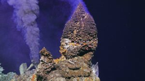 A spectacular established beehive vents at the top of the Inferno chimney, accompanied by a jetting plume of black smoke. Credit: UW/NSF-OOI/WHOI;J2-1784; V26.
