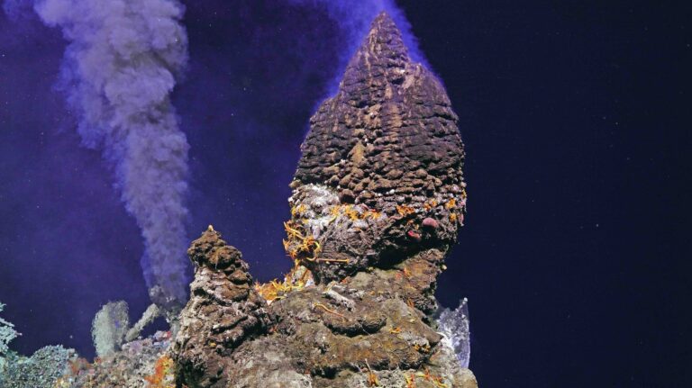 A spectacular established beehive vents at the top of the Inferno chimney, accompanied by a jetting plume of black smoke. Credit: UW/NSF-OOI/WHOI;J2-1784; V26.