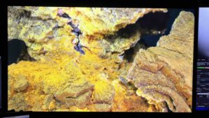 Yellow bacterial mat and blue protists cover a basaltic structure in the 2011 lava flow.