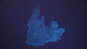Castle illuminated in the dark, white bacterial mats appearing to float detached from the seabed. A. Chang, University of Washington. V26.