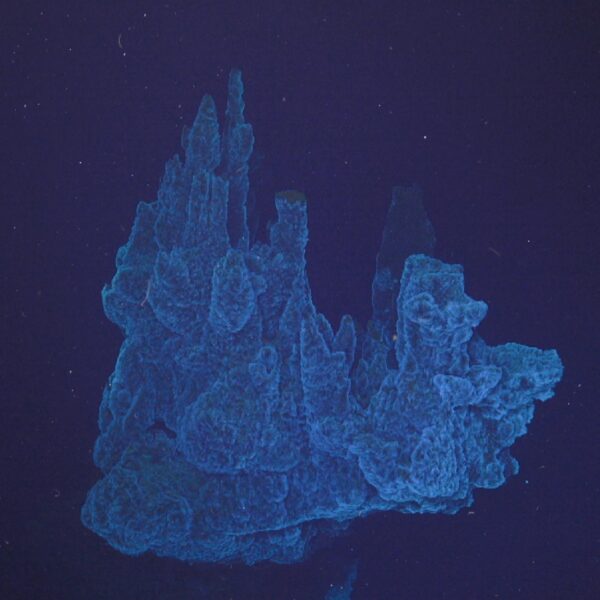 Castle Floating Above the Seafloor