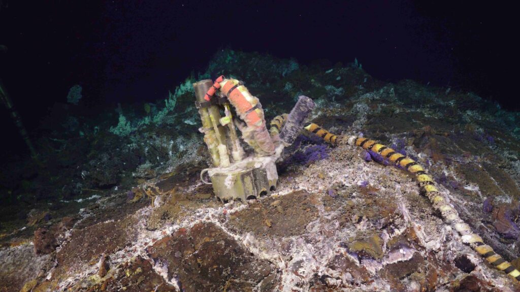 A vent cap on a diffuse flow site deployed in 2025 covered in filamentous bacteria.