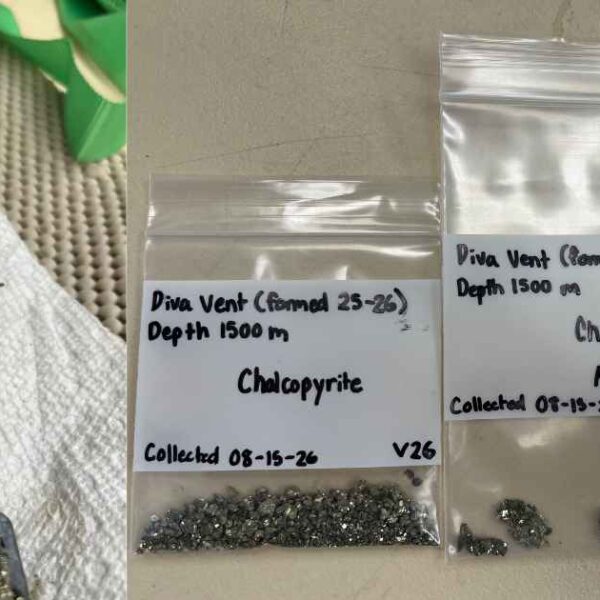 Chalcophyrite from Diva