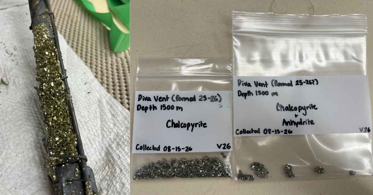 Chalcophyrite from Diva
