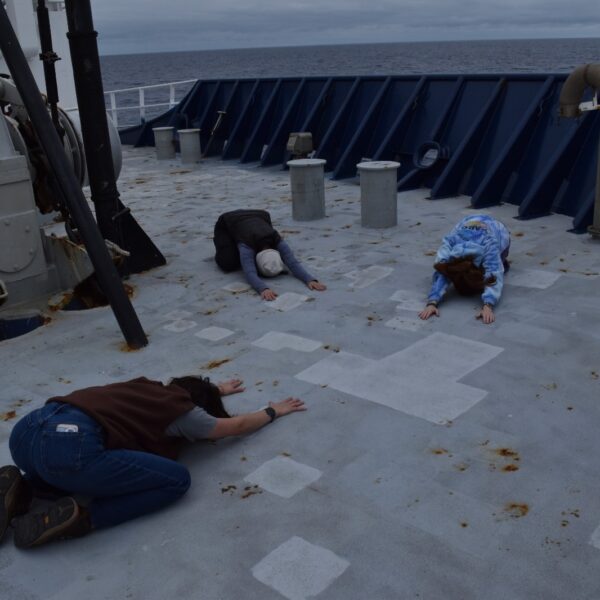 Yoga on the bow