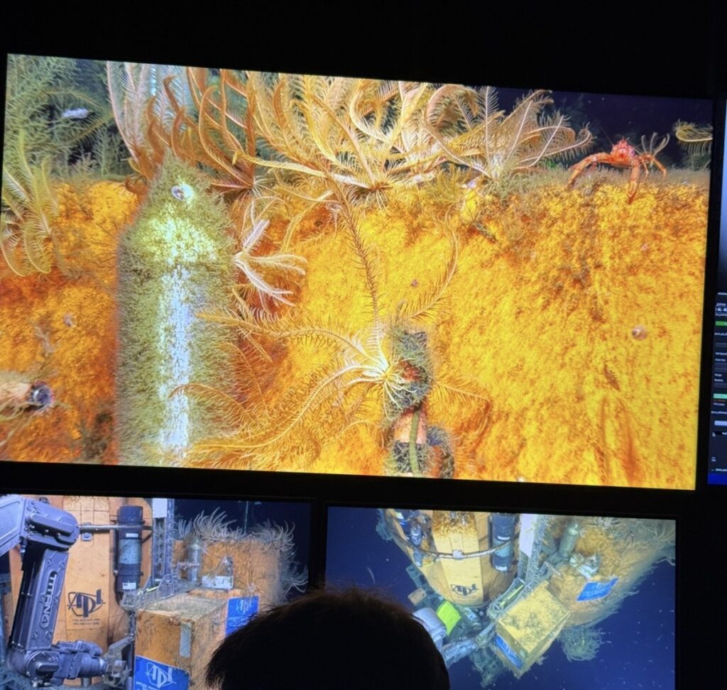 Feathery crinoids and a squat lobster on the side of the profiler platform. redit: A. Chang, University of Washington; V26.