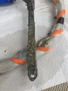 Sparkling chalcopyrite (CuFeS2) on the wand of the temperature-resistivity probe that was deployed in the 350°C Diva vent this past 2 years . Credit: A. Eagan, University of Washington; V26.