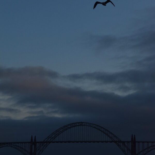figure3.moon_over_bridge