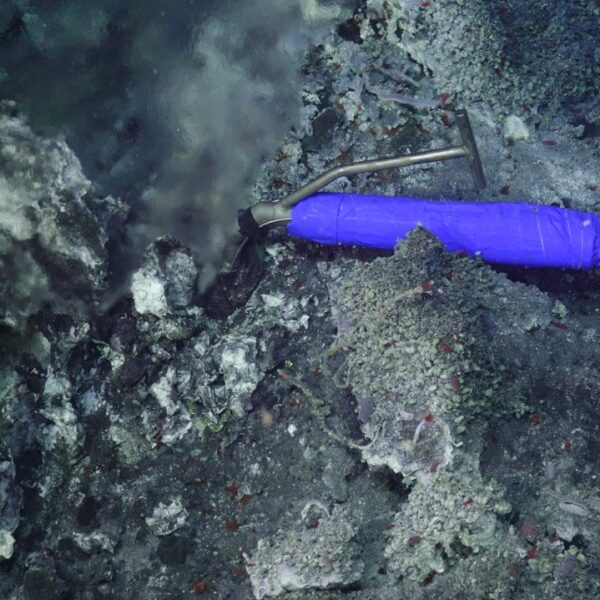 Temperature and resistivity probe at Int