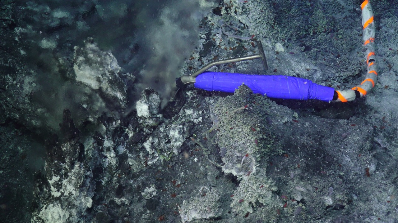 Temperature and resistivity probe at Int
