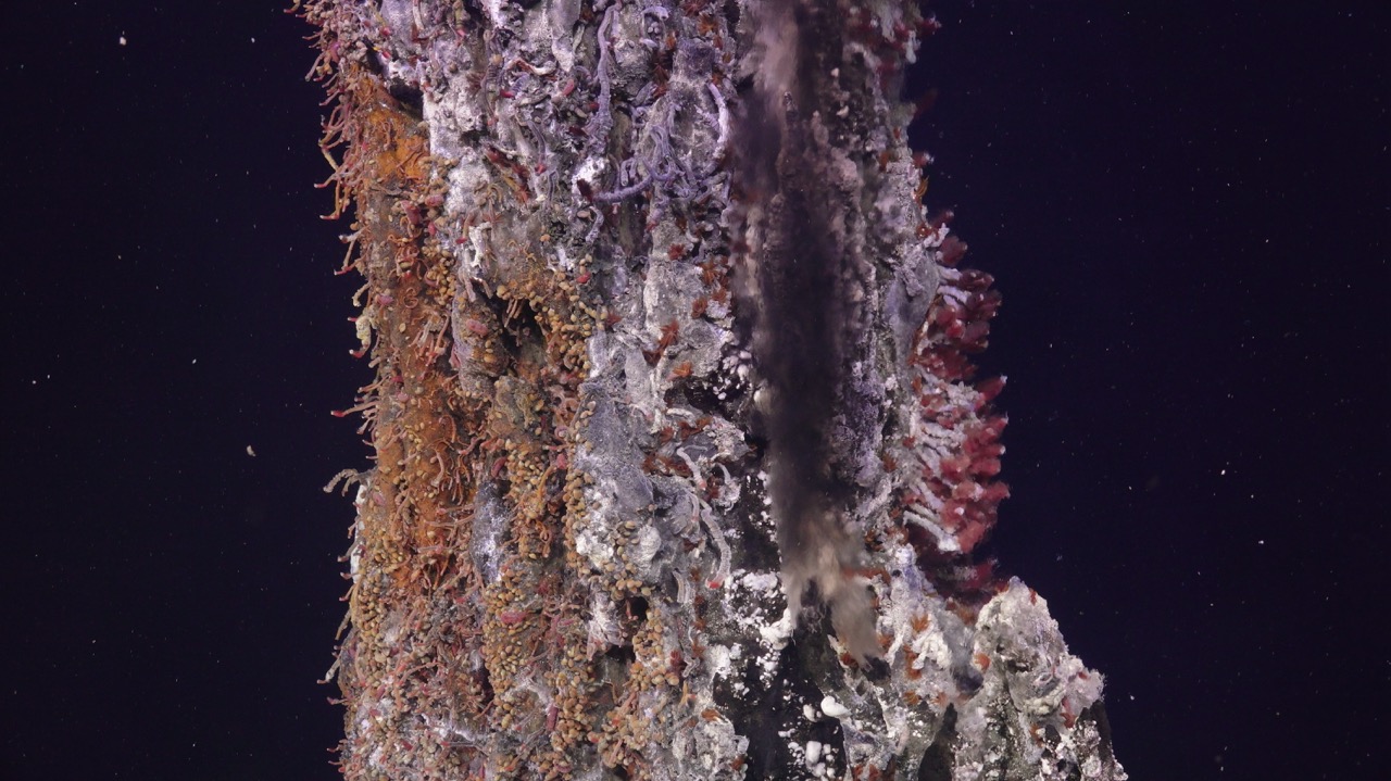Skinny chimney covered in worms at Int