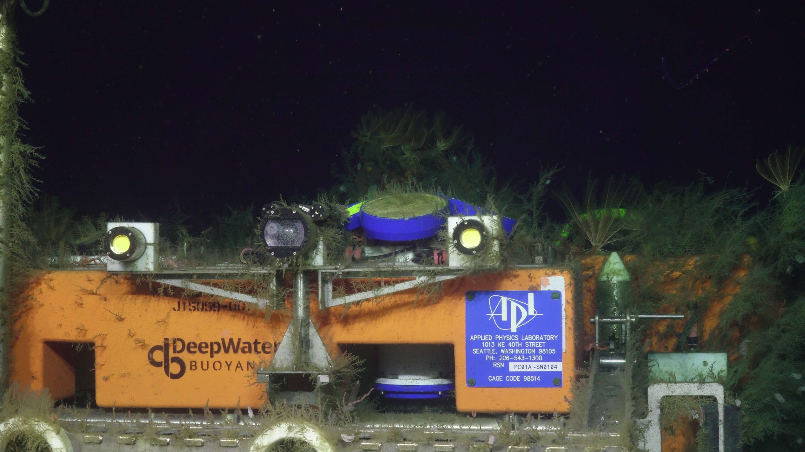 Biofouling on the Axial Base camera