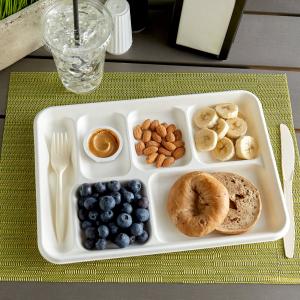 EcoChoice 12 1/2" x 8 1/2" Compostable White Plant Fiber 6 Compartment Tray - 100/Pack