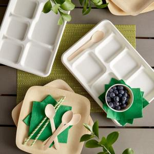 EcoChoice 12 1/2" x 8 1/2" Compostable White Plant Fiber 6 Compartment Tray - 100/Pack