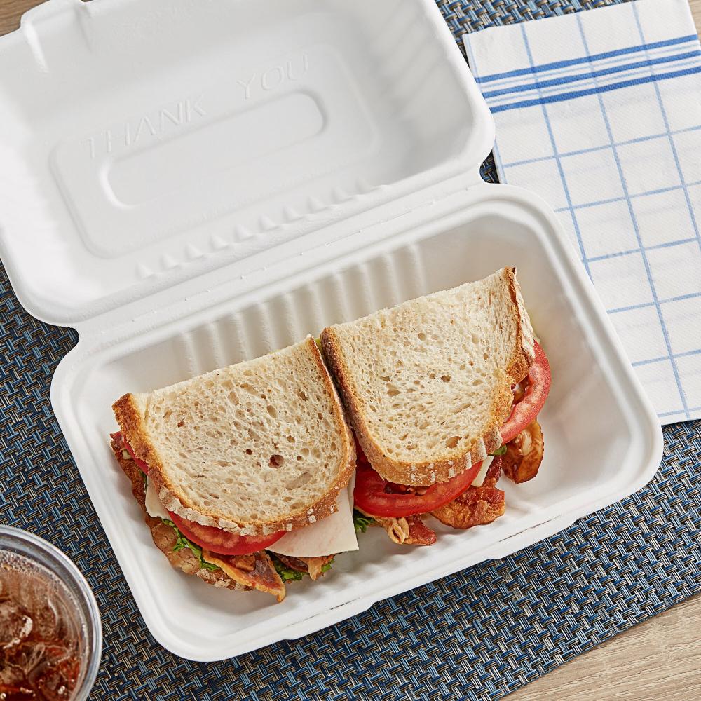 EcoChoice 9" x 6" x 3" Compostable No PFAS Added White Plant Fiber 1 Compartment Take-Out Container - 200/Case