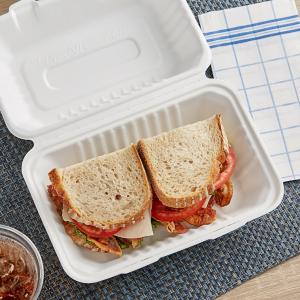 EcoChoice 9" x 6" x 3" Compostable No PFAS Added White Plant Fiber 1 Compartment Take-Out Container - 200/Case