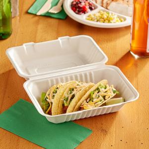 EcoChoice 9" x 6" x 3" No PFAS Added Natural Plant Fiber Take-Out Container - 50/Sample